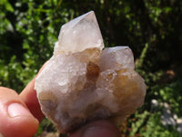 Natural Mixed Spirit Quartz Clusters  x 35 From Boekenhouthoek, South Africa - TopRock