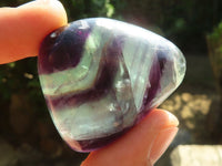 Polished Semi Translucent Watermelon Fluorite Free Forms  x 12 From Uis, Namibia - Toprock Gemstones and Minerals 