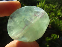 Polished Semi Translucent Watermelon Fluorite Free Forms  x 12 From Uis, Namibia - Toprock Gemstones and Minerals 