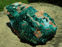 Natural Bright Shiny Emerald Green With Blue Shattuckite On Dolomite Dioptase On 3 Sides x 1 From Tantara, Congo - TopRock