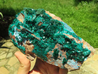 Natural Bright Shiny Emerald Green With Blue Shattuckite On Dolomite Dioptase On 3 Sides x 1 From Tantara, Congo - TopRock