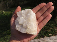 Natural Selected Cleaned White Quartz Clusters  x 6 From Madagascar - TopRock