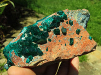 Natural Bright Shiny Emerald Green With Blue Shattuckite On Dolomite Dioptase On 3 Sides x 1 From Tantara, Congo - TopRock