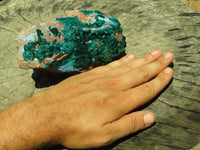 Natural Bright Shiny Emerald Green With Blue Shattuckite On Dolomite Dioptase On 3 Sides x 1 From Tantara, Congo - TopRock