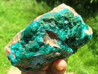 Natural Bright Shiny Emerald Green With Blue Shattuckite On Dolomite Dioptase On 3 Sides x 1 From Tantara, Congo - TopRock