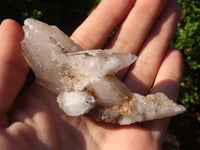 Natural Drusi Quartz Coated Calcite Specimens  x 12 From Alberts Mountain, Lesotho - Toprock Gemstones and Minerals 