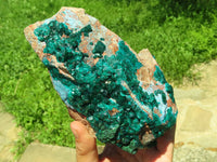 Natural Bright Shiny Emerald Green With Blue Shattuckite On Dolomite Dioptase On 3 Sides x 1 From Tantara, Congo - TopRock