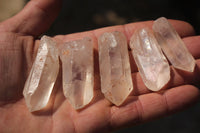 Natural Single Clear Quartz Crystals  x 2.5 Kg Lot From Zimbabwe - TopRock