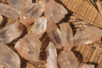 Natural Single Clear Quartz Crystals  x 2.5 Kg Lot From Zimbabwe - TopRock