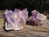 Natural Jacaranda Amethyst Quartz Clusters x 2 From Mambwe, Zambia - TopRock