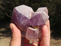 Natural Jacaranda Amethyst Quartz Clusters x 2 From Mambwe, Zambia - TopRock