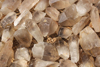 Natural Single Clear Quartz Crystals  x 2.5 Kg Lot From Zimbabwe - TopRock