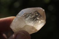 Natural Single Clear Quartz Crystals  x 2.5 Kg Lot From Zimbabwe - TopRock