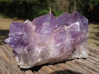 Natural Jacaranda Amethyst Quartz Clusters x 2 From Mambwe, Zambia - TopRock