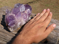 Natural Jacaranda Amethyst Quartz Clusters x 2 From Mambwe, Zambia - TopRock