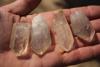 Natural Single Clear Quartz Crystals  x 2.5 Kg Lot From Zimbabwe - TopRock