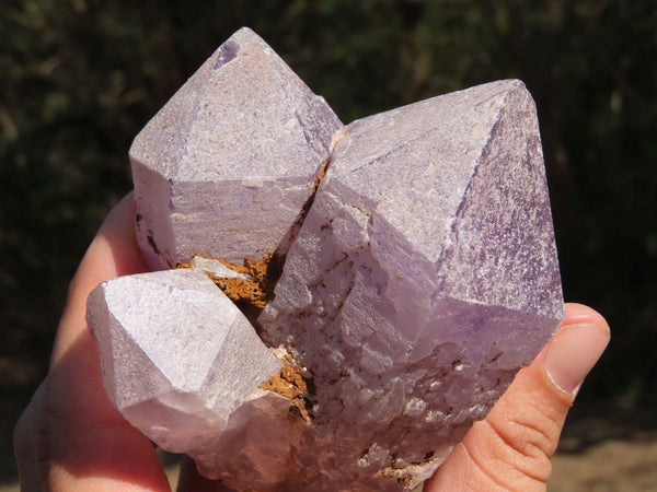 Natural Jacaranda Amethyst Quartz Clusters x 2 From Mambwe, Zambia - TopRock