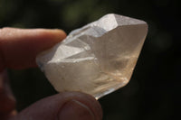 Natural Single Clear Quartz Crystals  x 2.5 Kg Lot From Zimbabwe - TopRock