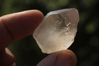 Natural Single Clear Quartz Crystals  x 2.5 Kg Lot From Zimbabwe - TopRock