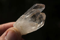 Natural Single Clear Quartz Crystals  x 2.5 Kg Lot From Zimbabwe - TopRock