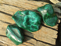 Polished Malachite Free Forms x 3 From Kolwezi, Congo