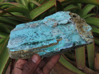 Natural Drusi Coated Chrysocolla Specimens With Malachite Psilomane x 2 From Kakanda, Congo - TopRock