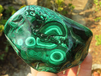 Polished Malachite Free Forms x 3 From Kolwezi, Congo