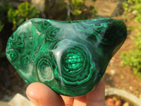 Polished Malachite Free Forms x 3 From Kolwezi, Congo