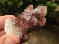 Natural Red Hematoid Quartz Specimens x 35 From Karoi, Zimbabwe - TopRock