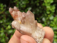 Natural Red Hematoid Quartz Specimens x 35 From Karoi, Zimbabwe - TopRock