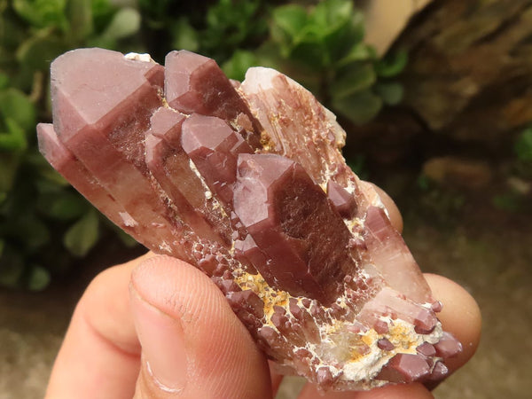 Natural Red Hematoid Quartz Specimens x 35 From Karoi, Zimbabwe - TopRock