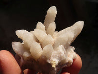 Natural White Spirit Quartz Clusters x 24 From Boekenhouthoek, South Africa