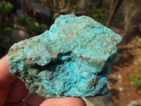 Natural Rough Shattuckite Cobbed Specimens x 12 From Kaokoveld, Namibia