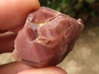 Natural Red Hematoid Quartz Specimens x 35 From Karoi, Zimbabwe - TopRock