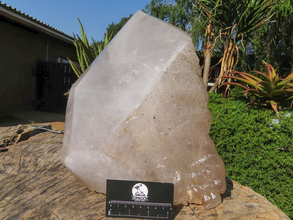 Cristal Pentium Elestial extra grande pulido/natural x 1 de Mozambique