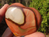 Polished Polychrome Jasper Hearts  x 12 From Madagascar