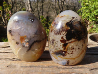 Polished Dendritic Agate Standing Free Forms  x 2 From Madagascar