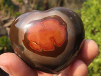 Polished Polychrome Jasper Hearts  x 12 From Madagascar