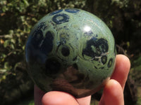 Polished Stromatolite / Kambaba Jasper Spheres x 3 From Madagascar - TopRock