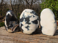 Polished Snow Agate Standing Free Forms  x 3 From Madagascar