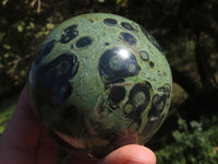 Polished Stromatolite / Kambaba Jasper Spheres x 3 From Madagascar - TopRock