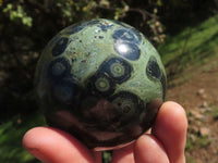 Polished Stromatolite / Kambaba Jasper Spheres x 3 From Madagascar - TopRock