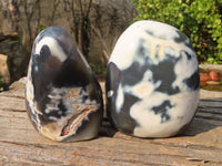 Polished Snow Agate Standing Free Forms  x 3 From Madagascar