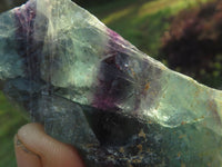 Natural Selected Watermelon Fluorite Cobbed Pieces x 25 From Uis, Namibia - TopRock