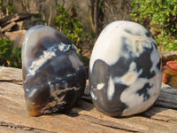 Polished Snow Agate Standing Free Forms  x 3 From Madagascar