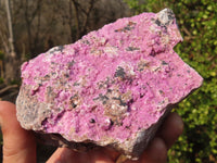 Natural Pink Salrose Cobaltion Dolomite Specimens  x 3 From Kakanda, Congo