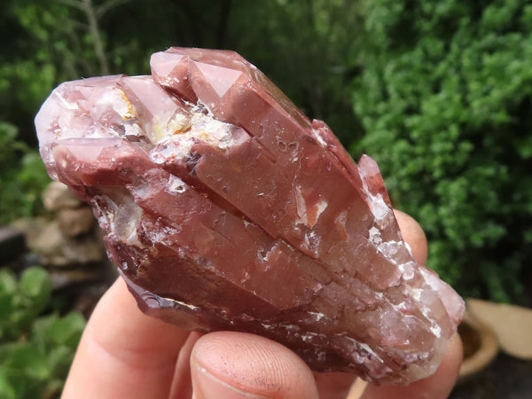 Natural Red Hematite Quartz Crystal Specimens x 12 From Karoi, Zimbabwe - TopRock