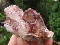 Natural Red Hematite Quartz Crystal Specimens x 12 From Karoi, Zimbabwe - TopRock