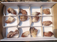 Natural Red Hematoid Quartz Specimens x 12 From Karoi, Zimbabwe