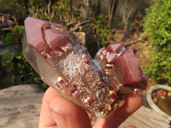 Natural Red Hematoid Quartz Specimens x 12 From Karoi, Zimbabwe